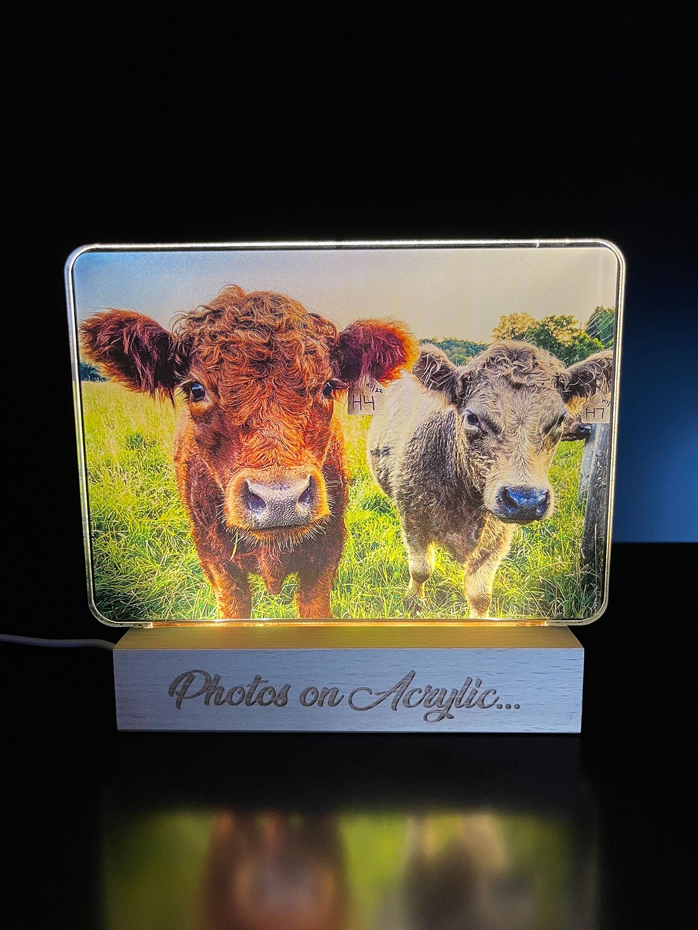 5x7 Photo Printed On Acrylic with Base